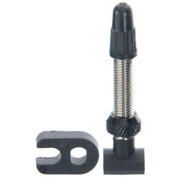 DT Swiss Tubeless Valve Stem